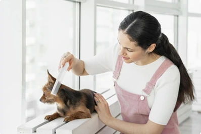 A small dog being gently groomed